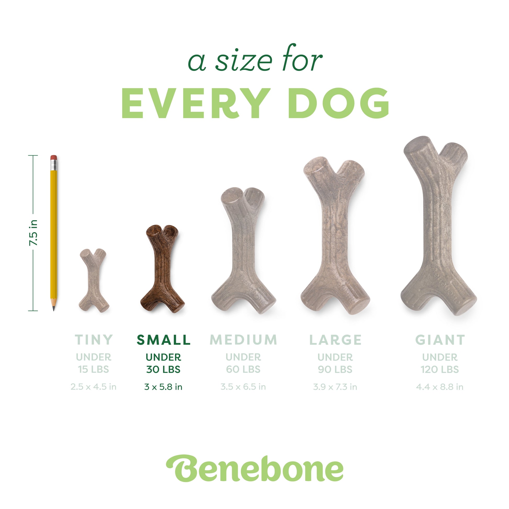 Maplestick Durable Dog Chew Toy for Aggressive Chewers, Real Maplewood, Small