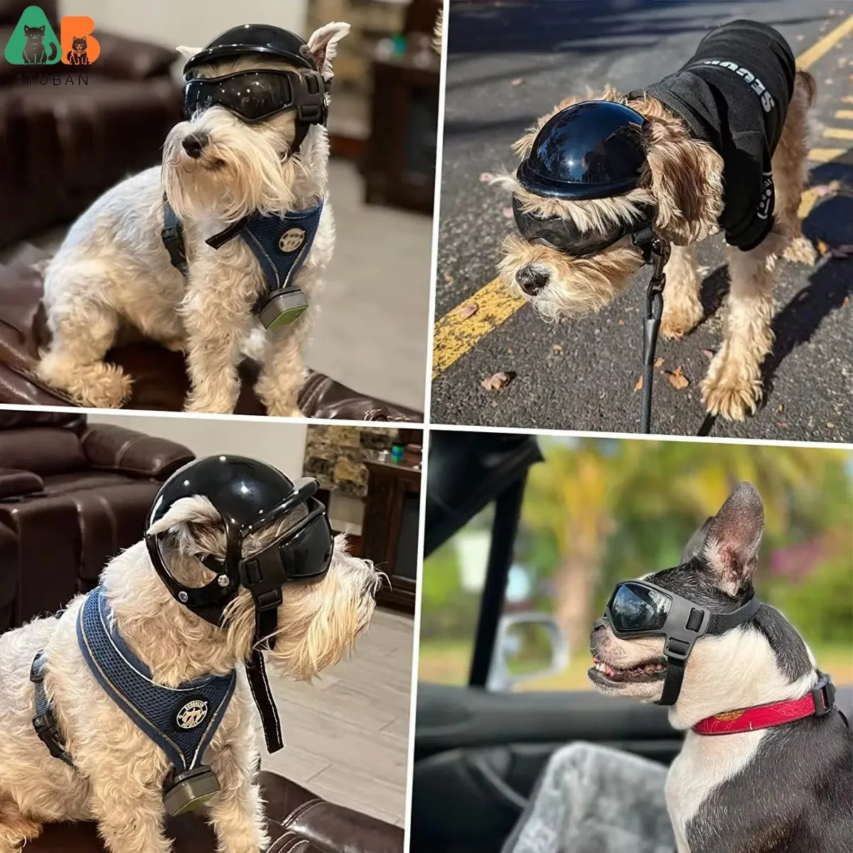 Dog Goggles for Small Dogs with Helmet,2Pc Dog Sunglasses and Dog Helmet Set for Small Medium Dog Outdoor Driving Walking